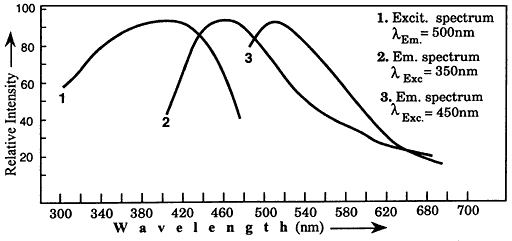 Excitation and emission spectra of dry semen