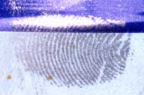 Vingerafdruk zichtbaar gemaakt met magnetisch grijs