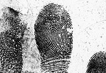 Mit GLScan digitalisierter Fingerabdruck von der mit schwarzer Gelatinefolie abgezogenen Spur auf der Platte nach Spiegelung und Invertierung