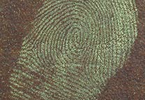 Fingerabdrücke auf einem Lederkoffer mit Instant Gold sichtbar gemacht