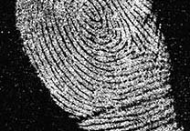 Mit GLScan digitalisierter Fingerabdruck von der mit schwarzer Gelatinefolie abgezogenen Spur nach  der Spiegelung