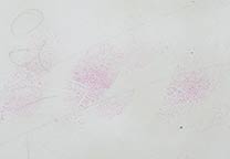 Fingerabdrücke auf weißem Papier, entwickelt mit 1,2-IND (IND-Zn-Formulierung)