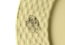 Fingerabdruck auf einer Platte, mit schwarzem Fingerabdruckpulver sichtbar gemacht