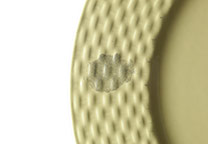 Fingerabdruck auf einer Platte mit Silber Spezial Pulver sichtbar gemacht