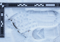 Schoenafdruk in sneeuws