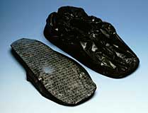 Navlake za cipele sa natpisima "POLICE" F-57500/57510