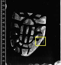 Otisak stopala na crnoj elatinskoj foliji, skeniran GLScan ured-ajem