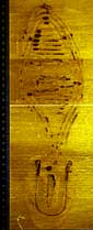 Shoeprint in blood on a hardwood floor, treated with Acid Yellow 7