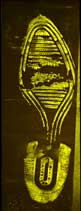 Fluorescence of a lifted shoeprint in blood stained with Acid Yellow 7, 2nd lift
