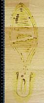 Shoeprint in blood on a hardwood floor, treated with Acid Yellow 7