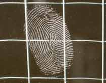 Fingerprint visualized with Silver Special powder