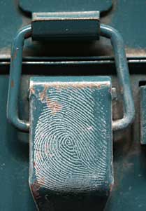 Fingerprint developed with Instant White on a metal toolbox