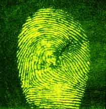 Fingerprint developed with Magnetic Blitz-Green