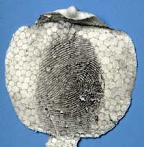 Powdered fingerprint lifted with white Silmark