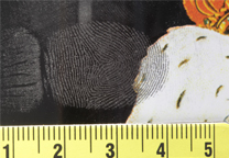 The developed finger mark shows up dark against the lighter area dan light against the dark area.