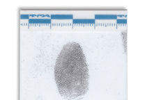 Fingerprint lifted with a white Instant lifter