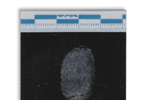 Fingerprint lifted with a black Instant Lifter