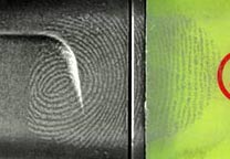 Fingerprint developed on a highlighter (detail).