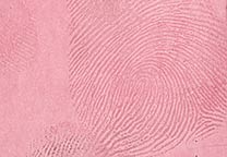 Fingerprint on white paper developed with Oil Red O.