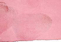 White paper with fingerprints developed with Oil Red O.