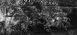 De opgedampte sporen opgenomen met zwarte folie (gescand en het beeld daarna gespiegeld)