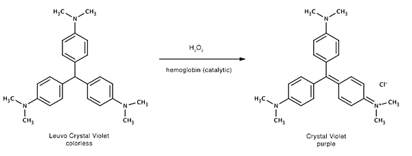 Leuco Crystal Violet reacts to Crystal Violet