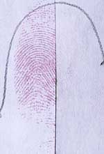 Links: 5-MTN, rechts: DFO-behandelde helft van een vingerafdruk