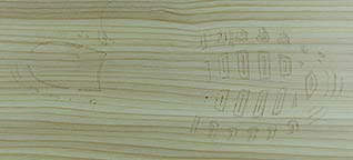 Shoeprint in blood on lacquered wood.