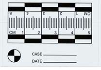 Detail of sheet with 6 labels