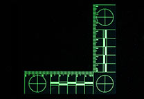 Fluorescentie van de groen fluorescerende hoeklineaal (UV light, 455 nm filter)