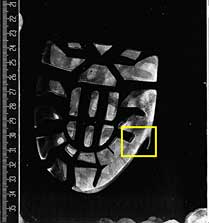 Schoenspoor op zwarte folie, gescand met de GLScan