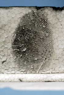 Powdered fingerprint on polystyrene packaging material